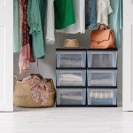 IRIS USA Plastic Drawer Storage Organizer, 3-Drawers, 2-Pack, for Classroom Art Craft Supplies, Dresser Closet, Bathroom Bedroom, Laundry Room, Black/Clear