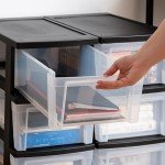 IRIS USA Plastic Drawer Storage Organizer, 3-Drawers, 2-Pack, for Classroom Art Craft Supplies, Dresser Closet, Bathroom Bedroom, Laundry Room, Black/Clear