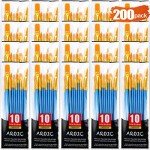 Acrylic Paint Brush Set, (20 Packs /200 pcs) Nylon Hair Brushes for Oil and Watercolor, Perfect Suit of Art Painting, Best Present for Painting, Blue