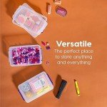 IRIS USA 2.7 Qt. Small Plastic Storage Bins with Lids, 10 Pack, Art and Craft Supply Storage Organizers, Office Supply Flat Storage Container, Stackable Clear Storage Box, Secure Latch, Clear/Violet