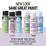 FolkArt Outdoor Gloss Acrylic Craft Paint Set Designed for Beginners and Artists, Non-Toxic Formula Perfect for Rock Designing, Twelve Bottles, 2 oz, 24 Fl Oz