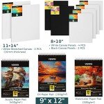 VISWIN All-in-One Art Painting Set with Aluminum & Beech Wood Easel, 96 Acrylic, Watercolor & Oil Paint Set, Canvases, Painting Kit with Complete Art Supplies for Adult, Student, Beginner, Artist