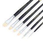 Transon Paint Brush Set 6pcs Art Painting Flexible Bristle for Acrylic Watercolor Gouache Oil Leather Canvas and Face Painting