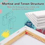 21 Packs Stretched Canvases for Painting, MultiSize 12x16, 10x12, 8x10, 5x7, 3x5, Round Canvas with 8x8,10x10,12x12, Primed Blank Canvas for Oil, Acrylic Paint,for Beginner, Artist.