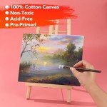21 Packs Stretched Canvases for Painting, MultiSize 12x16, 10x12, 8x10, 5x7, 3x5, Round Canvas with 8x8,10x10,12x12, Primed Blank Canvas for Oil, Acrylic Paint,for Beginner, Artist.