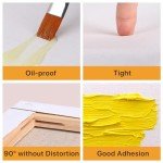 CONDA Stretched Canvas for Painting, 5x7 inch 10 Pack of Canvas, Primed, 100% Cotton 5/8 Inch Profile Value Bulk Pack for Acrylics, Oils Painting