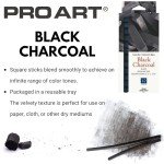 Pro Art Charcoal Set, 12 Count (Pack of 1), Black Piece