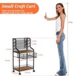 Small Rolling Utility Cart with Drawer, Metal Craft Storage Cart with Lockable Wheel, Versatile Art Organizer with 6 Tiers & Removable Dividers for Drawing Room, Store Paint & Artifact, Patent Pending