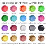 HissiCo Metallic Acrylic Paint Set of Premium 20 Colors, Professional Grade Metallic Paint with 2fl oz（60ml） Bottles, Non-Toxic, Rich Pigments - For Artists, Hobby Painters, Kids