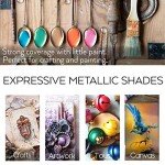 HissiCo Metallic Acrylic Paint Set of Premium 20 Colors, Professional Grade Metallic Paint with 2fl oz（60ml） Bottles, Non-Toxic, Rich Pigments - For Artists, Hobby Painters, Kids