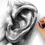 2 Sets 44pcs Paper Art Blenders Sketch Drawing Tools, Erase Sponge Wiper Pencils for Students Artist Charcoal Sketch Drawing Tools