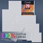 Stretched Canvas for Painting, Multi Size 11x14, 9x12, 8x10, 5x7, 4x4(4 of Each), 20 Packs Primed Blank Canvases, Very Good for Beginners or Professionals.