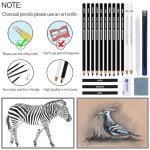 MARTCOLOR Charcoal Drawing Set, 19 Pieces, Black & White Charcoal Pencils for Drawing, Sketching, Shading, Blending, Artist Pencils for Beginners & Pro Artists