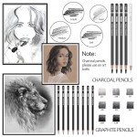 PANDAFLY Drawing Sketching Pencil Set, 22 Piece Pro Art Pencil Kit - Graphite Pencils (12B-2H), Black and White Charcoal Pencils, Charcoal Sticks, Stumps, Eraser, Sharpeners