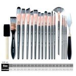 Transon Art Paint Brush Kit 16 Paint Brushes with Foam Brush Spatula and Brush Case for Oil, Acrylic, Watercolor, Gouache, Painting Black