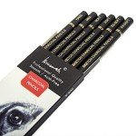 Brusarth Professional Charcoal Pencils Drawing Set - 6 Pieces Soft Medium and Hard Charcoal Pencils for Drawing, Sketching, Shading