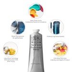 Winsor & Newton Professional Acrylic Paint, 200ml (6.75-oz) Tube, Titanium White