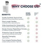 ARTEGRIA Watercolor Brush Set, 10 Soft Synthetic Squirrel Paint Brushes, Including Pointed Rounds, Flats, Dagger, Oval Wash