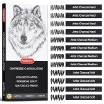 PANDAFLY Compressed Charcoal Sticks, 12 Pieces (Soft, Medium, Hard) Square Vine Charcoal Sticks for Drawing, Sketching, Shading, Charcoal Drawing Set for Beginners & Pro Artists
