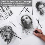 PANDAFLY Willow Charcoal Sticks, Soft, Black Artist Vine Charcoal for Artists, Beginners, Students, Great for Sketching, Drawing, Shading and Fine Art, 7-9mm, 25 Pack