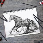 PANDAFLY Willow Charcoal Sticks, Soft, Black Artist Vine Charcoal for Artists, Beginners, Students, Great for Sketching, Drawing, Shading and Fine Art, 7-9mm, 25 Pack