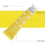 MEEDEN Gouache Paint Set, Non-Toxic 24 x 12ml/0.4oz Water-Based Gouache Tubes Paints for Canvas & Paper, Art Supplies for Artist, Adults, Kids, Beginners