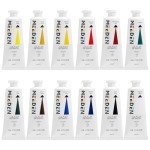 MEEDEN Artist Oil Paint Set - 12 Colors x 60ml/2oz Tubes - Art Supplies for Canvas Painting