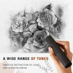 Gueevin 5 Pcs Jumbo Willow Charcoal Sticks 0.79-0.94 Inch Large Soft Willow Charcoal Chunky Drawing for Sketching Artist Supplies, Black