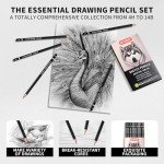 GETHPEN Professional Drawing Sketching Pencil Set - 14 Pieces Graphite Pencils(14B - 4H), Ideal for Drawing Art, Sketching, Shading, Artist Pencils for Beginners & Pro Artists