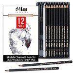 Galart Supplies Charcoal Drawing Set with Organizer Tray – 12 Pieces Soft, Medium, Hard and White Charcoal Pencils for Drawing, Shading and Sketching for Artists and Beginners