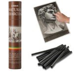 Trzzyan 25 PCS Willow Charcoal Sticks, Ideal for Artists, Beginners, Students, Perfect for Sketching, Drawing, Shading, and Fine Art, 5.7 Inches Long, 2-4,4-5,5-7,7-9 (2-4)