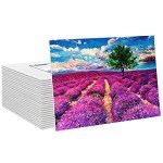 FIXSMITH Canvas Boards for Painting 4x6 Inch, Super Value 24 Pack Mini Canvases, White Blank Canvas Panels, 100% Cotton Primed, Painting Art Supplies