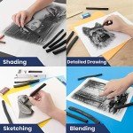 Pacific Arc Large Vine Charcoal Stick 5/Pkg, Soft, Black, Thick Willow Charcoal for Sketching and Drawing