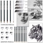 Charcoal Pencils for Drawing, Set of 22, Professional Drawing Sketch Pencils, Art Supplies for Sketching, Shading, Artist Charcoal Supplies for Beginners & Pro Artists.