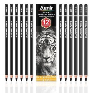 Charcoal Pencils for drawing, Set of 12, Charcoal Drawing Pencils (S-Soft, Soft, Medium, Hard), Art Supplies for Artist, Sketching, Shading