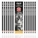 Charcoal Pencils for drawing, Set of 12, Charcoal Drawing Pencils (S-Soft, Soft, Medium, Hard), Art Supplies for Artist, Sketching, Shading