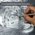 KALOUR Detail Eraser Pencil - 6pc Eraser Pencils with Brush and 2pc Sharpener,Erasing Small Details or add Highlights for Sketching, Charcoal Drawings. Fine Detail Eraser for Beginners & Artists