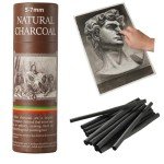 Trzzyan 25 PCS Willow Charcoal Sticks, Ideal for Artists, Beginners, Students, Perfect for Sketching, Drawing, Shading, and Fine Art, 5.7 Inches Long, 2-4,4-5,5-7,7-9 (5-7)