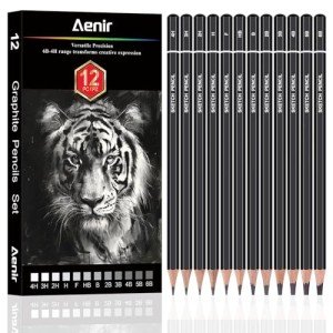 Sketching Pencils for Drawing, Set of 12 Drawing Pencils for Sketching Medium (6B - 4H), Artist Graphite Pencils for Drawing, Sketch Pencils for Artists for Sketching Supplies, Drawing Art Supplies.