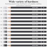 Sketching Pencils for Drawing, Set of 12 Drawing Pencils for Sketching Medium (6B - 4H), Artist Graphite Pencils for Drawing, Sketch Pencils for Artists for Sketching Supplies, Drawing Art Supplies.