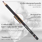 Sketching Pencils for Drawing, Set of 12 Drawing Pencils for Sketching Medium (6B - 4H), Artist Graphite Pencils for Drawing, Sketch Pencils for Artists for Sketching Supplies, Drawing Art Supplies.