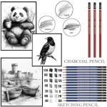 Drawing Sketching Pencil Set, 26 pcs Draw Supplies Kit, 14 Graphite (12B -6H), Charcoal Erasers Sharpener Extender, Ideal for Drawing Art, Sketching, Shading, Artist Pencils for Beginners Pro Artists