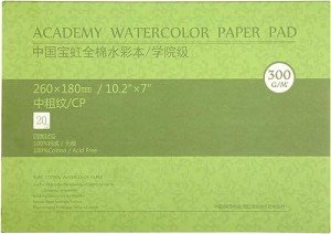 MEEDEN 10X7 Cotton Watercolor Paper Block, Textured Surface Watercolor Paper, Cold Press, 140lb/300gsm, 20 Sheets for Painting & Drawing, Wet, Mixed Media