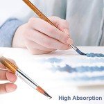 FENORKEY Artist Watercolor Paint Brushes, Round Pointed Tip Paint Brushes Set, 12pcs Different Sizes Detail Paint Brush for Watercolor, Acrylics, Ink, Gouache, Oil, Tempera (Brown)