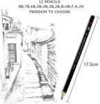 Wonwood_direct Drawing Pencils for Sketching, 12 Pack Professional Graphite Pencil Set, Drawing Supplies with 2H H F HB 2B 3B 4B 5B 6B 7B 8B Pencil, Art pencil for Artist, Sketching Lover, Beginner