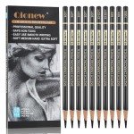 Qionew Professional Charcoal Pencils Drawing Set - 10 Pieces Super Soft, Soft, Medium & Hard Charcoal Pencils for Drawing, Sketching, Shading, Beginners & Artists