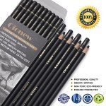 Qionew Professional Charcoal Pencils Drawing Set - 10 Pieces Super Soft, Soft, Medium & Hard Charcoal Pencils for Drawing, Sketching, Shading, Beginners & Artists