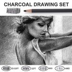 Qionew Professional Charcoal Pencils Drawing Set - 10 Pieces Super Soft, Soft, Medium & Hard Charcoal Pencils for Drawing, Sketching, Shading, Beginners & Artists