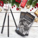Qionew Professional Charcoal Pencils Drawing Set - 10 Pieces Super Soft, Soft, Medium & Hard Charcoal Pencils for Drawing, Sketching, Shading, Beginners & Artists