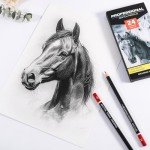 24 Pack Drawing Sketching Pencil Set, Art Pencils for Sketching(14B - 3H), Graphite Shading Pencils for Drawing, Ideal for Art Creation, Shading, Beginners & Artist